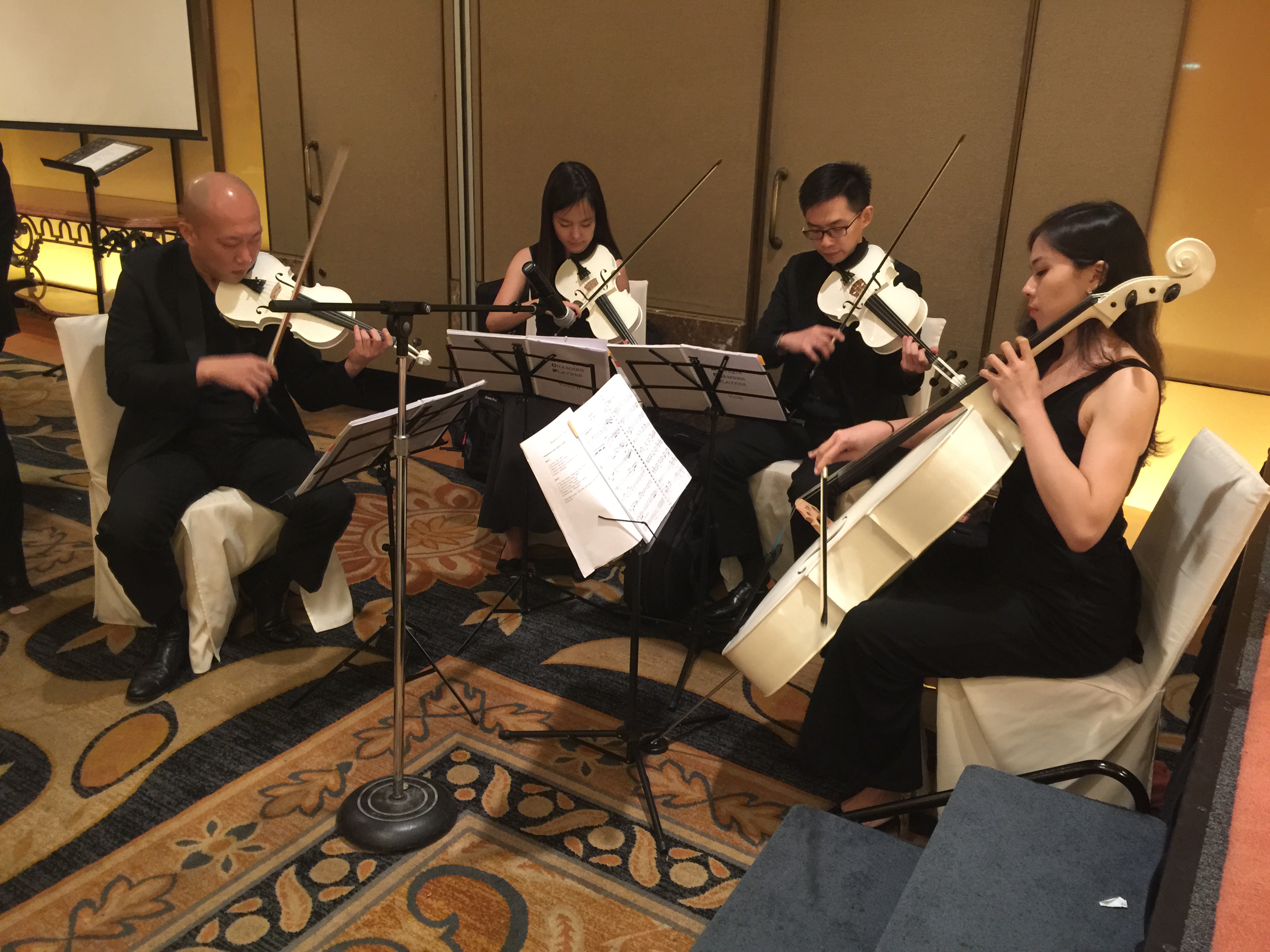 ACOUSTIC STRING QUARTET performance