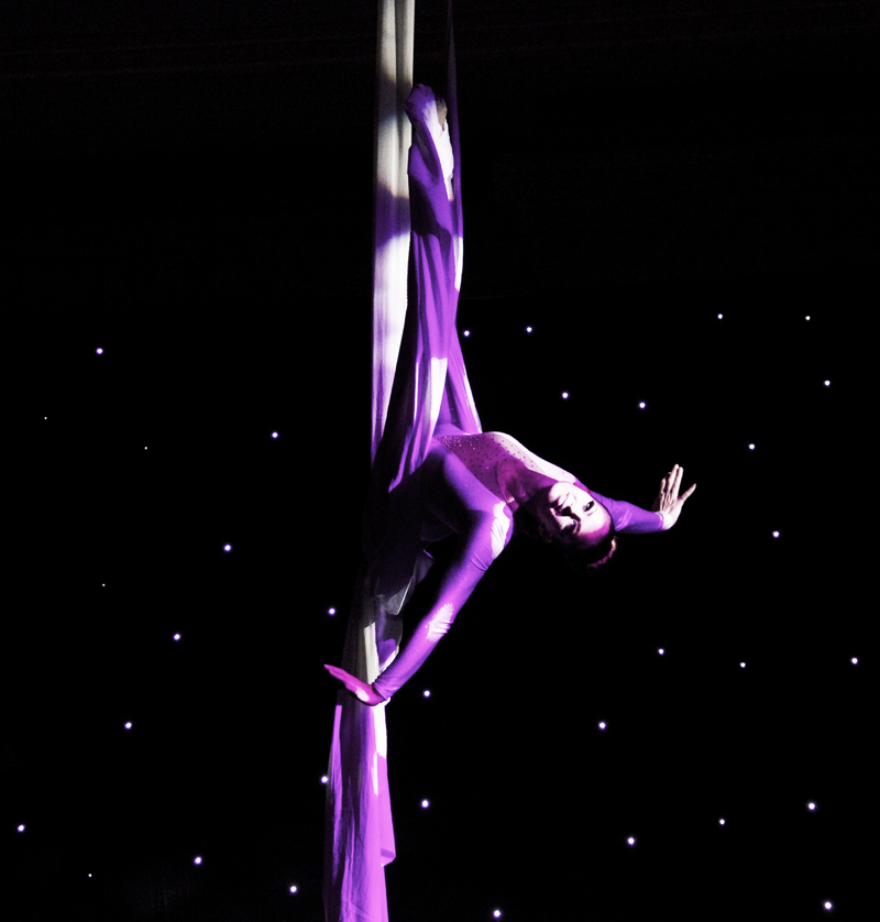 AERIAL SILK