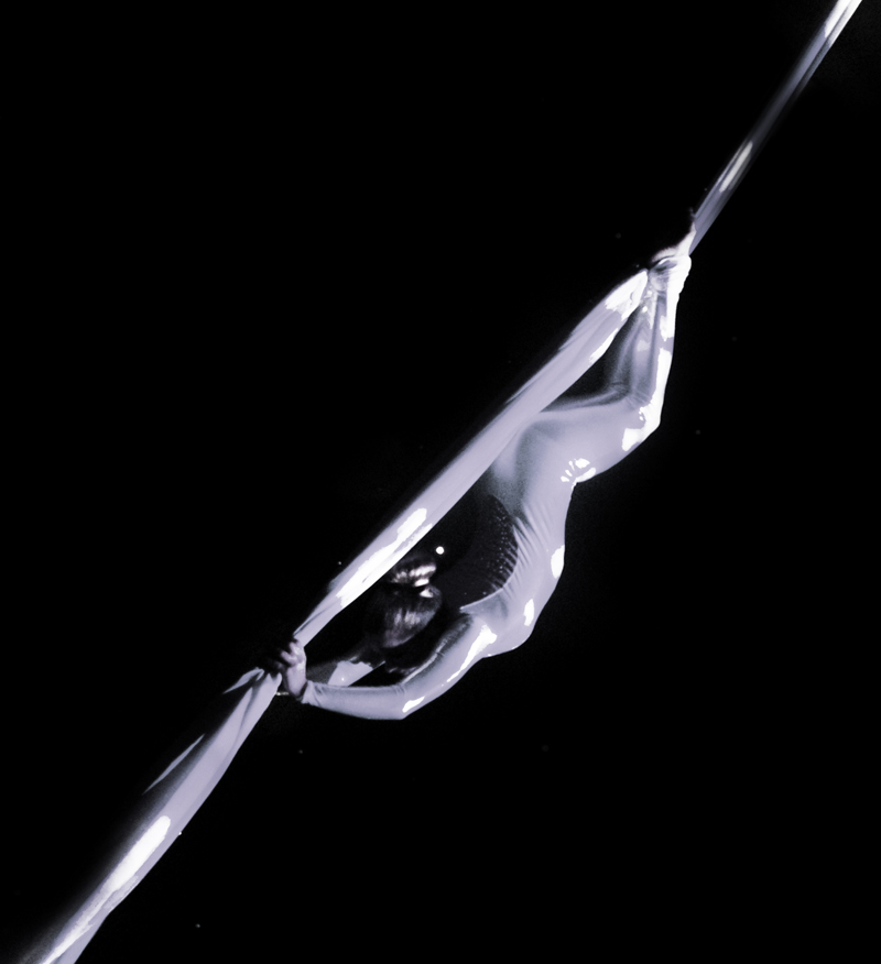 AERIAL SILK performance