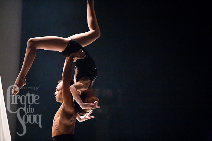 AERIAL SILK performance