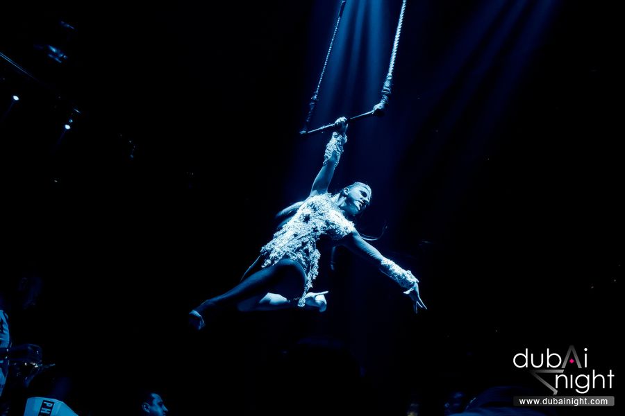 AERIALIST & ACROBAT
