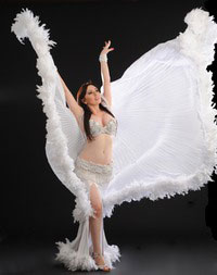 Belly Dancer performance