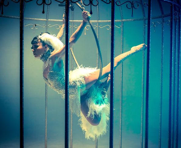 Birdcage