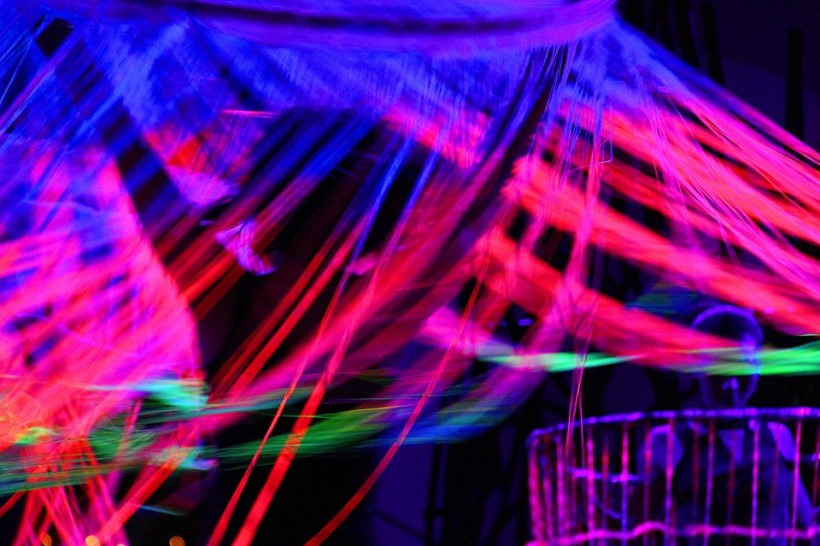 Blacklight shows performance