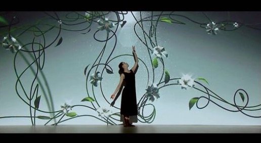 Flowers Mapping Show