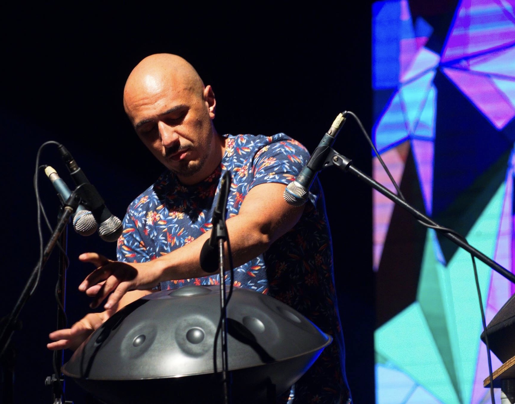Handpan Artist performance