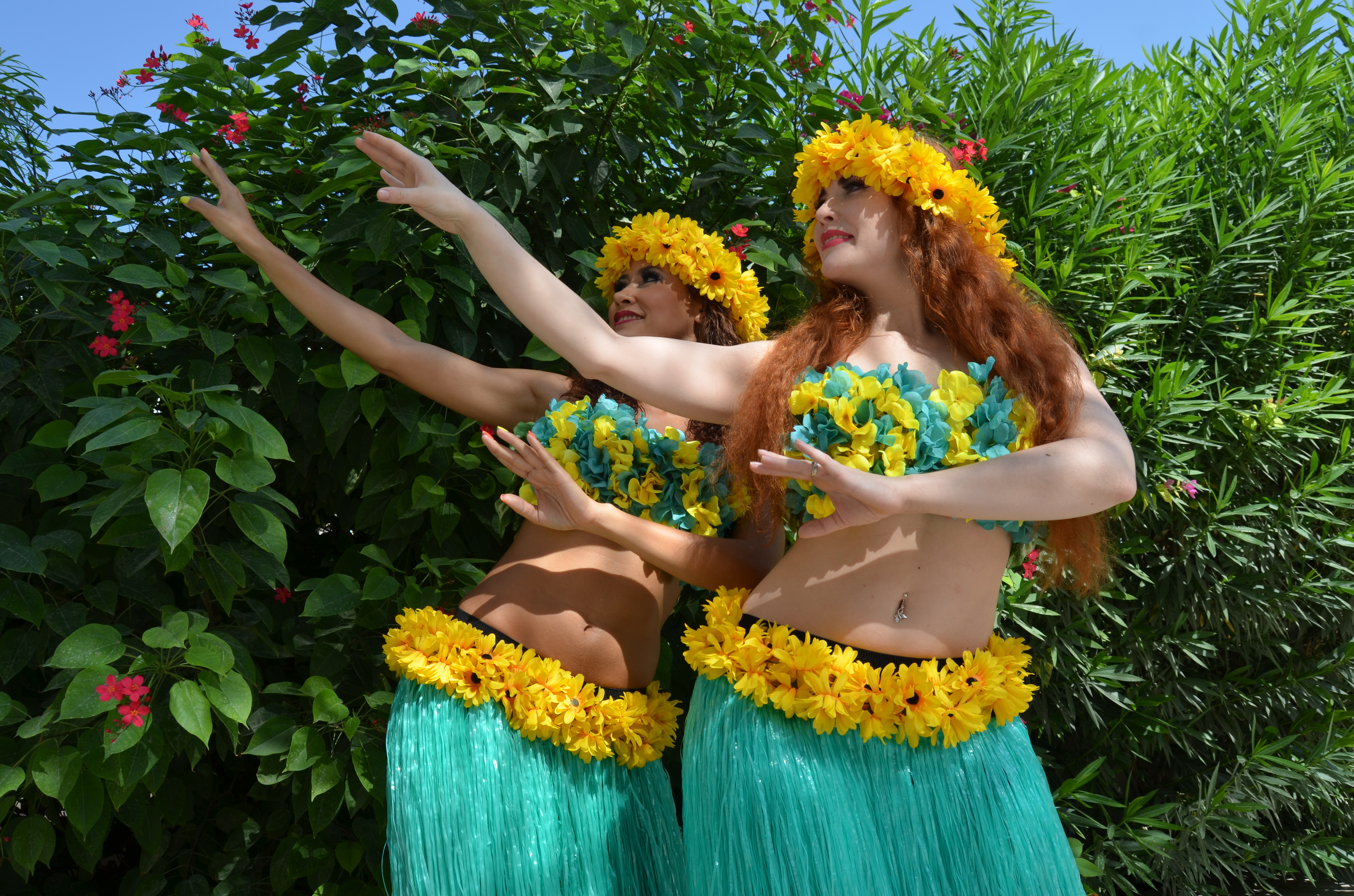 Hawaiian Dancers performance