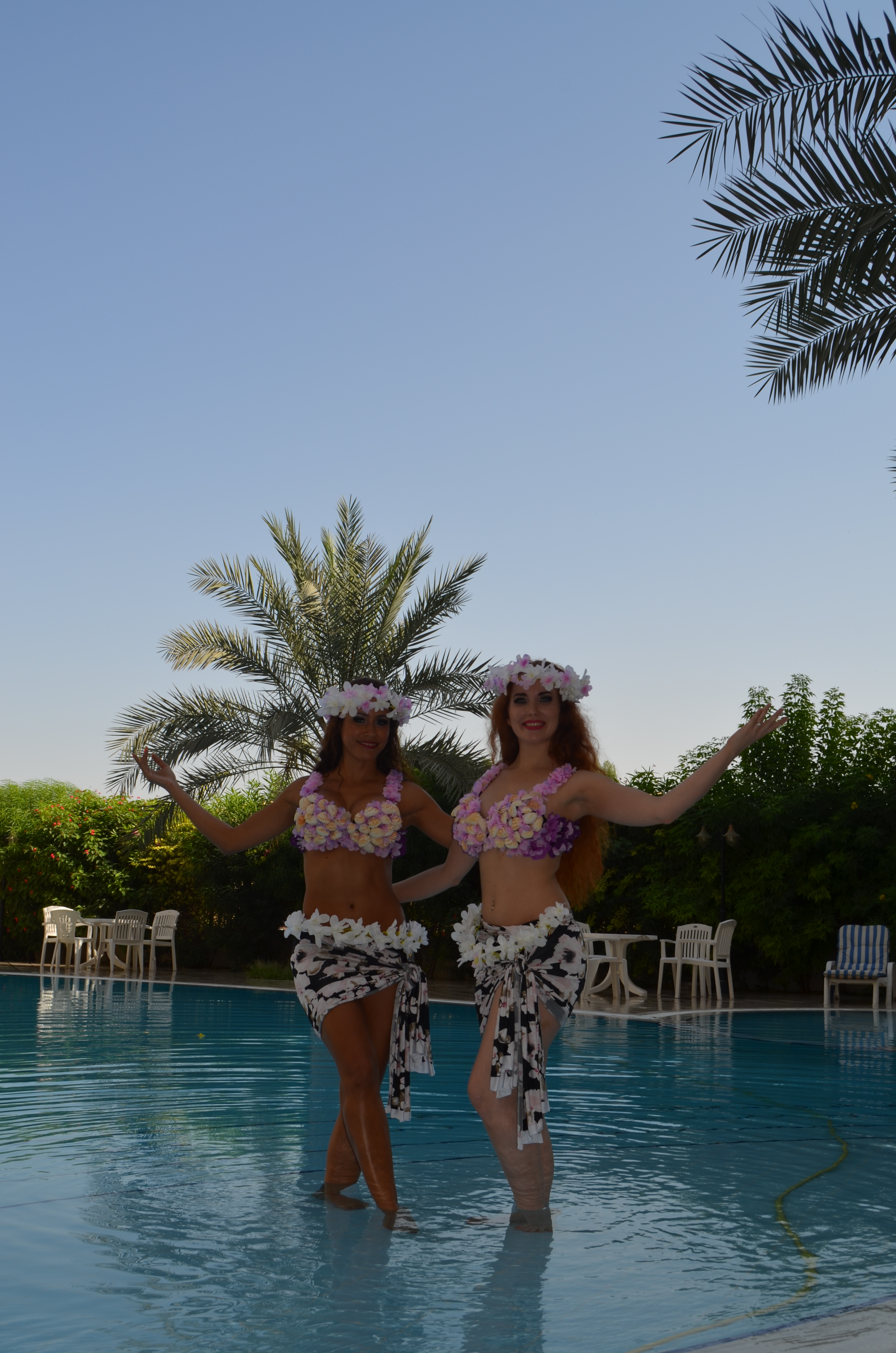 Hawaiian Dancers performance