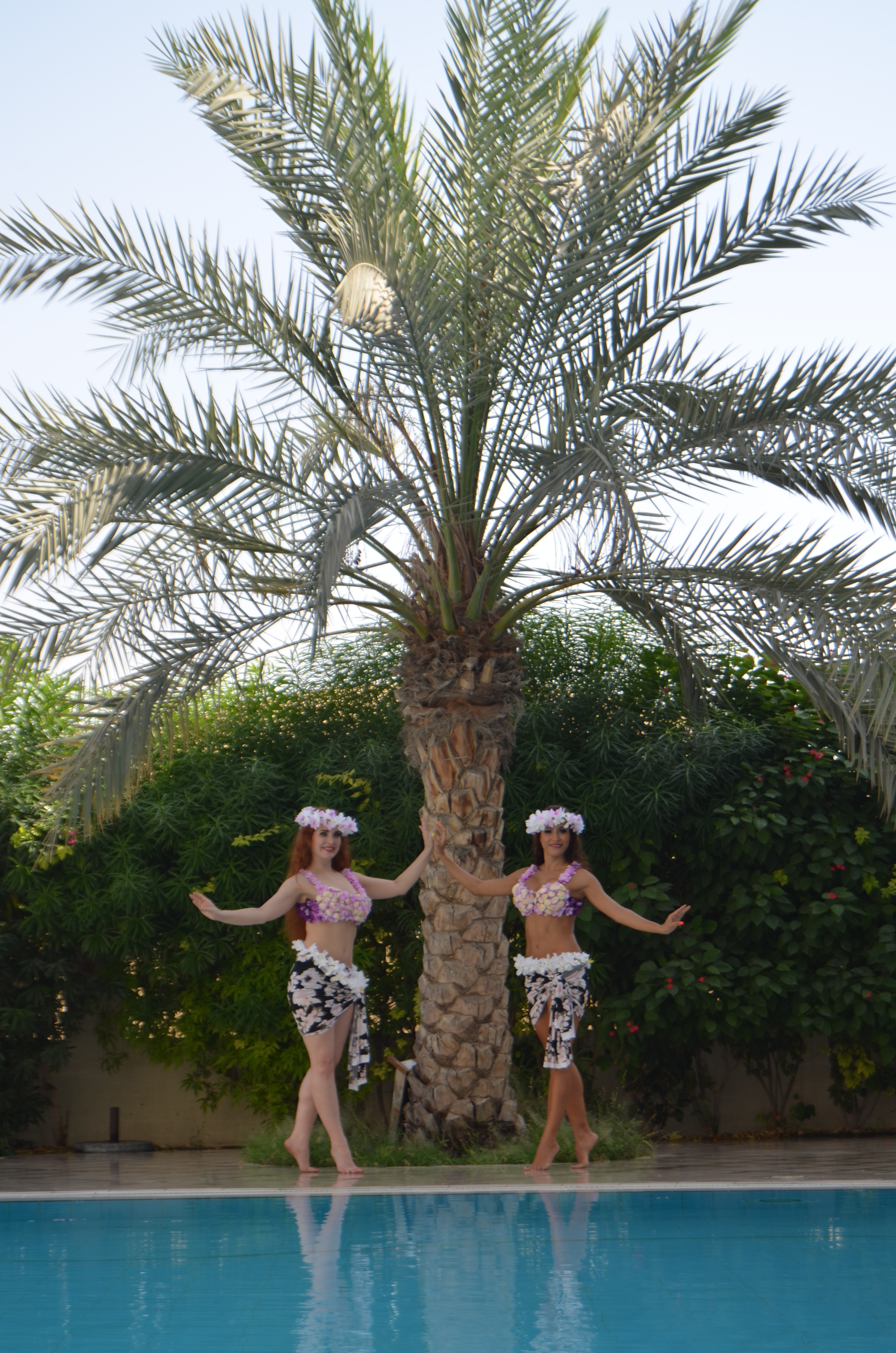 Hawaiian Dancers performance