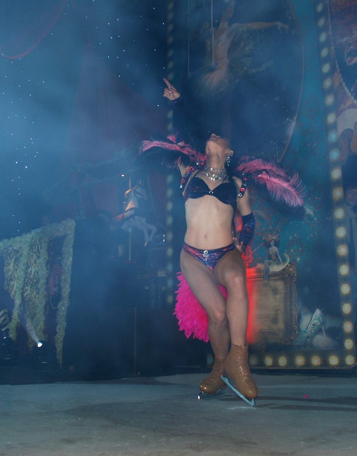 Ice Skating Night Clubs and Gala Events performance