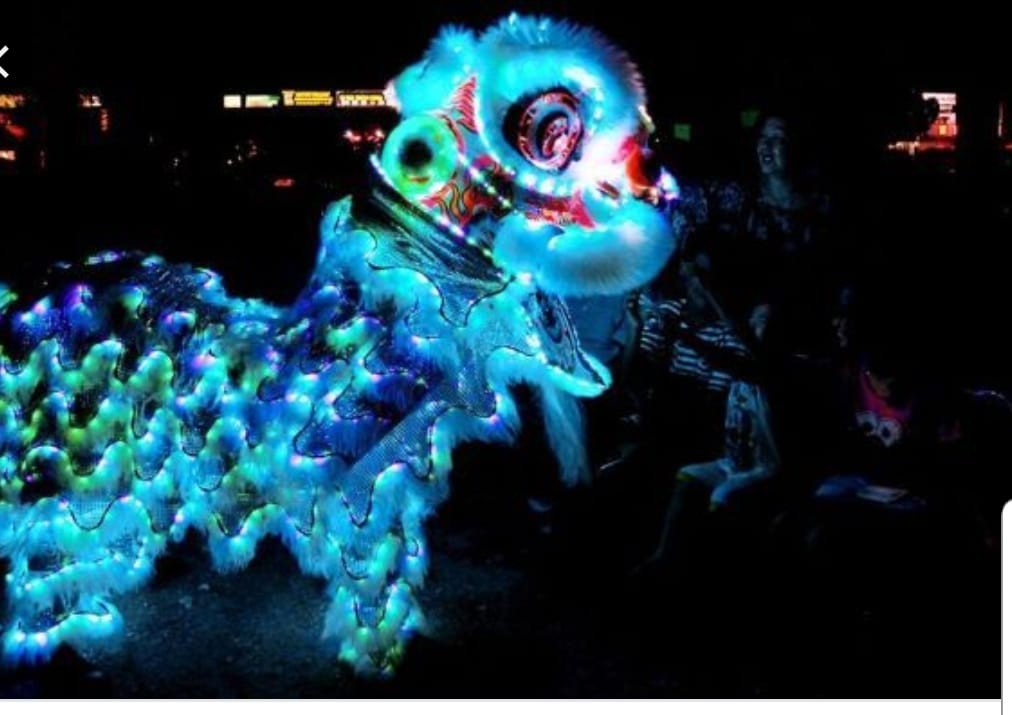 LED LION DANCE