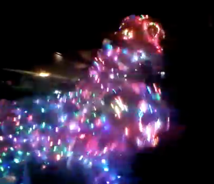 LED LION DANCE performance