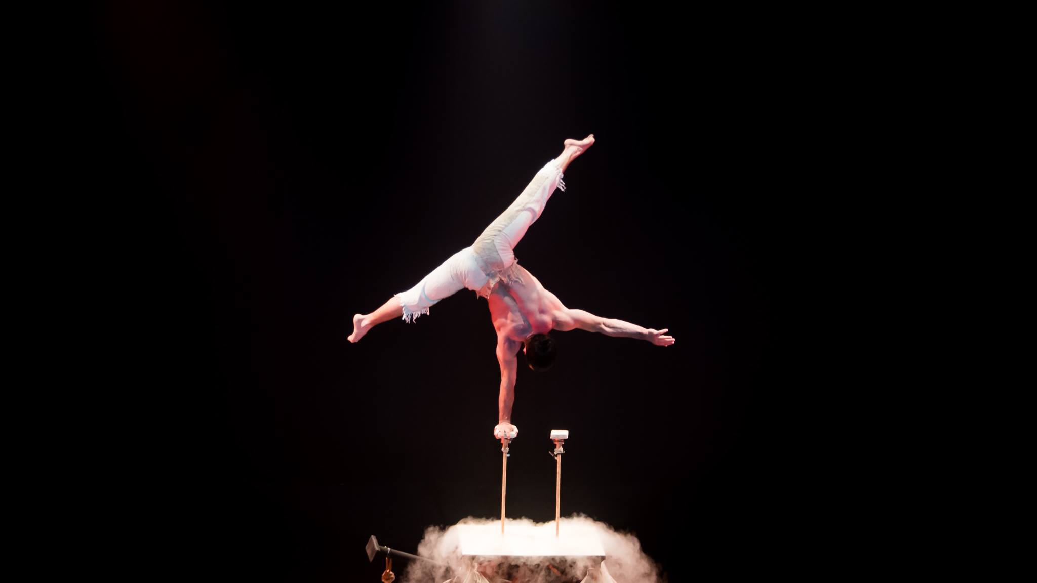 One Hand Stand Act and Chinese Pole performance