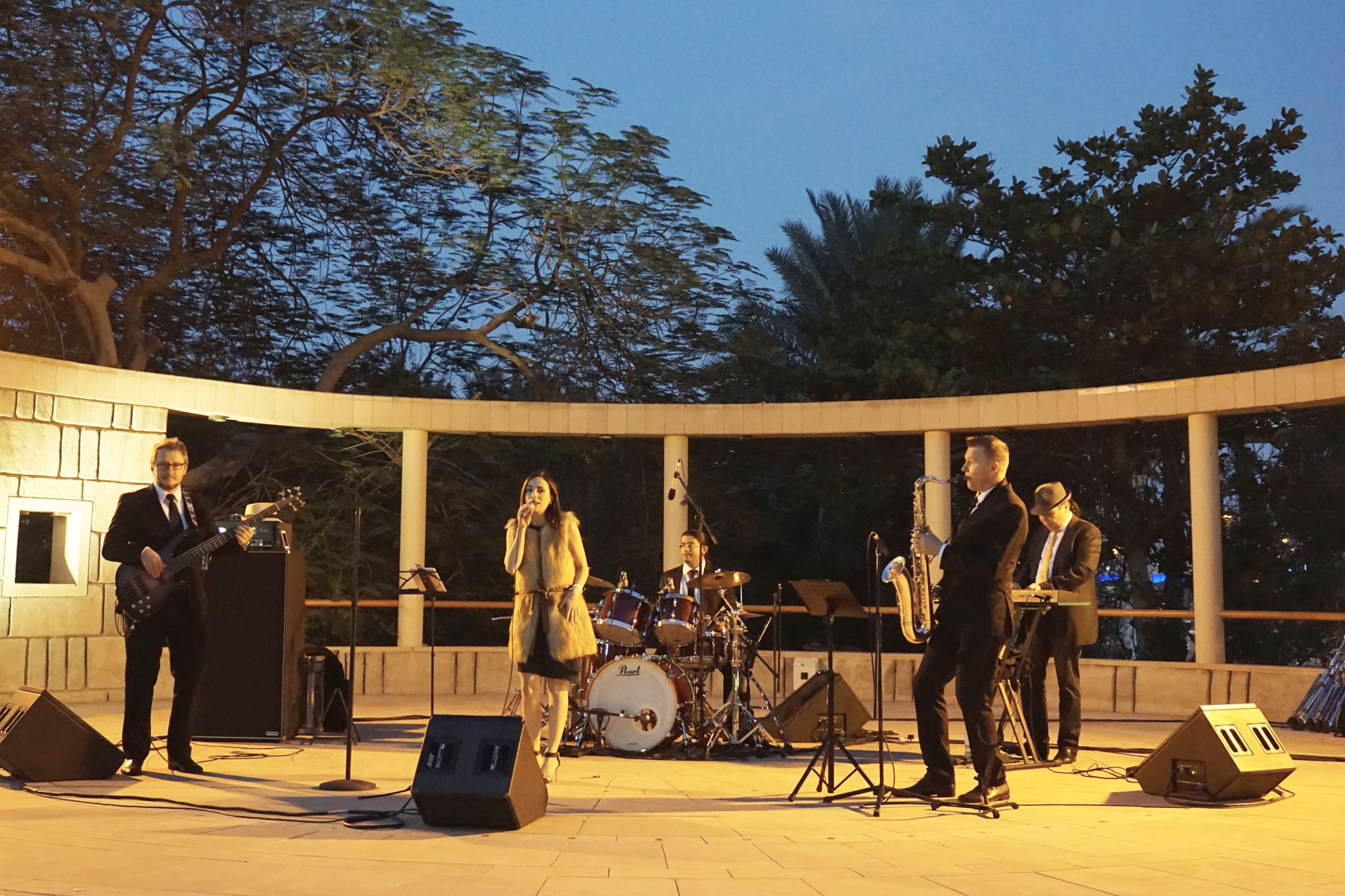 Party Jazz Band performance