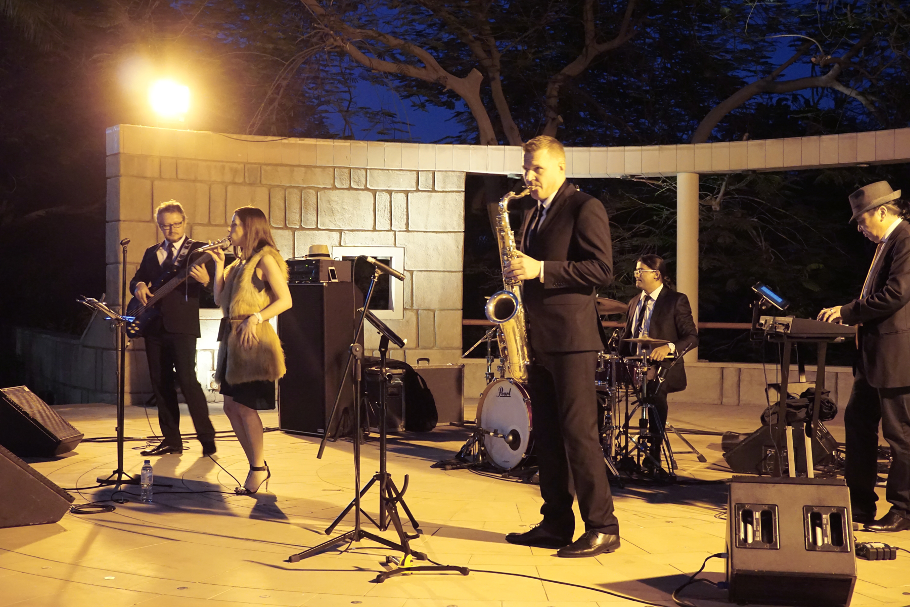 Party Jazz Band performance