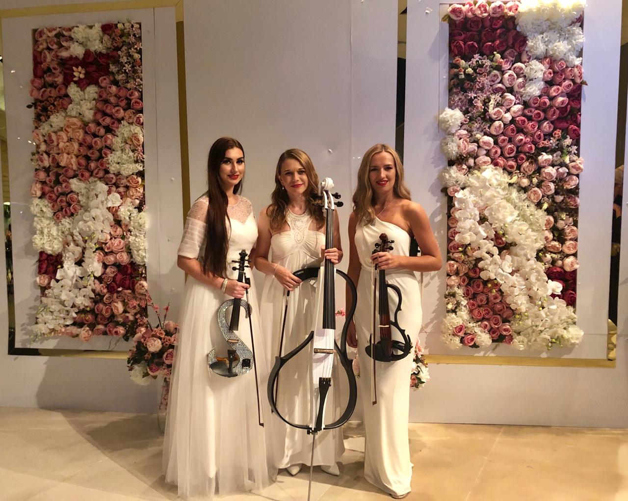 String Musicians performance