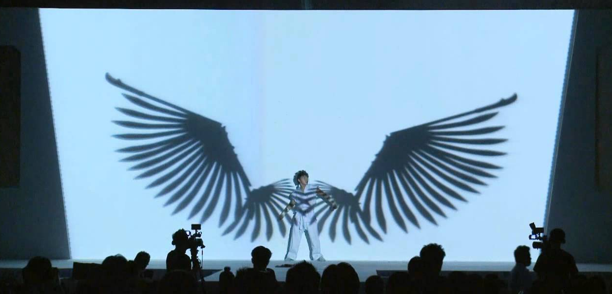 VIDEO PROJECTION DANCE performance