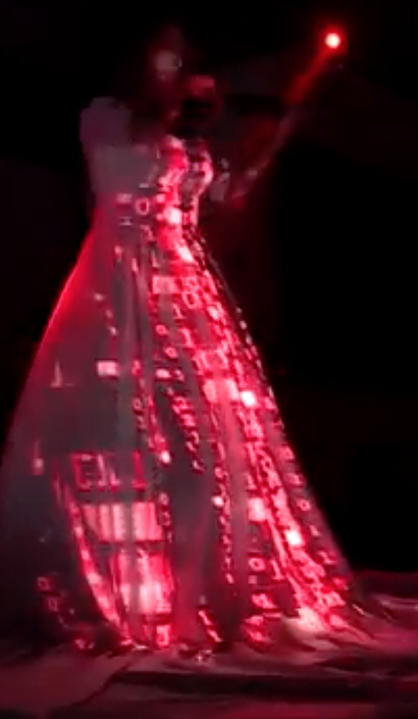 Violinist LED Mapping Show