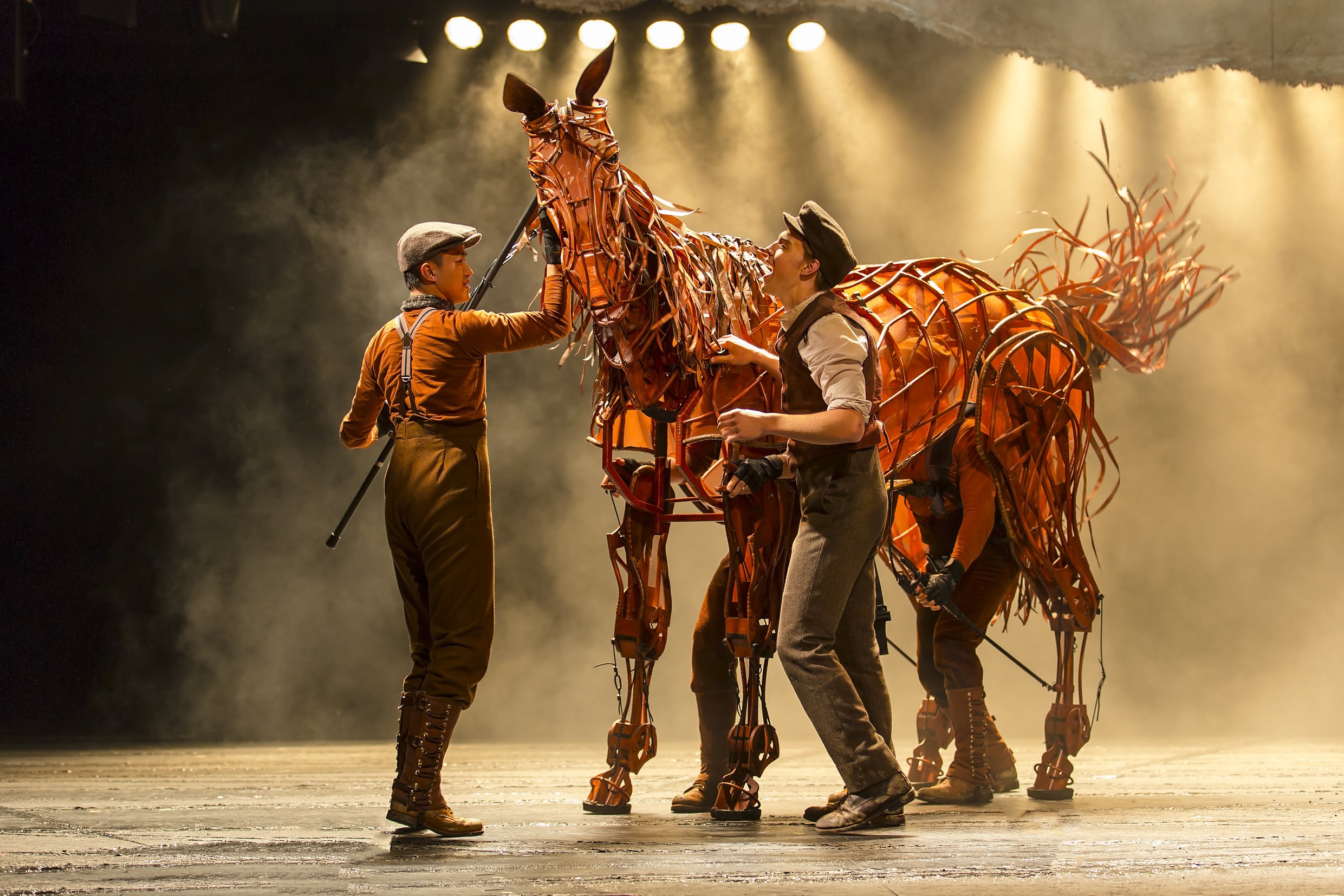 War Horses
