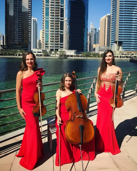 String Musicians