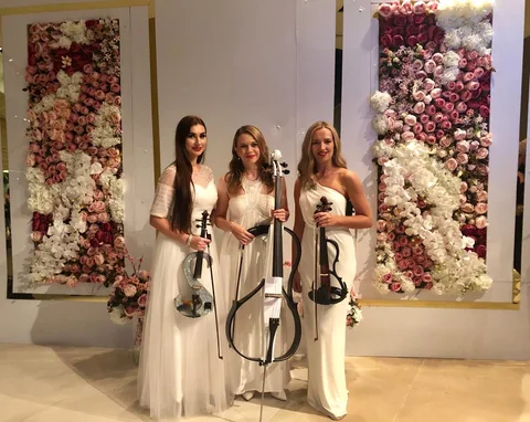 String Musicians