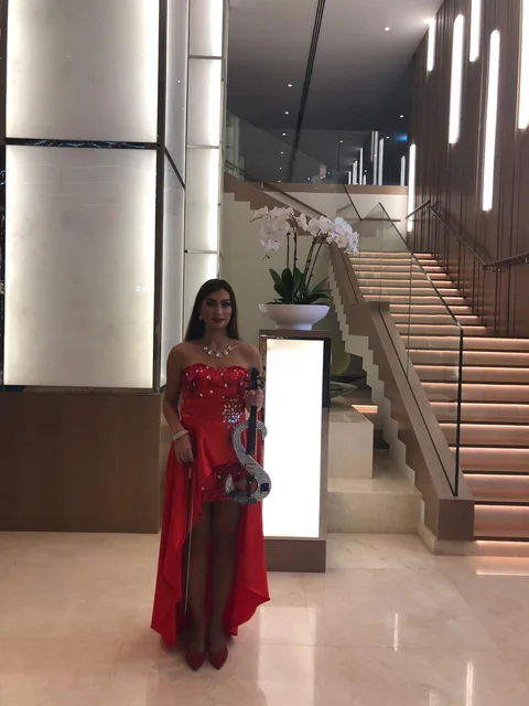 Lady Violinist