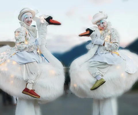 The Magnificence of Swans