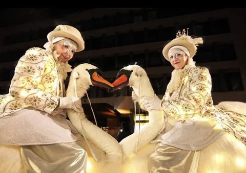 The Magnificence of Swans