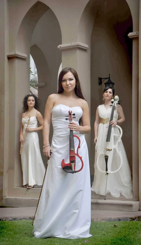 ELECTRIC STRING MUSICIANS