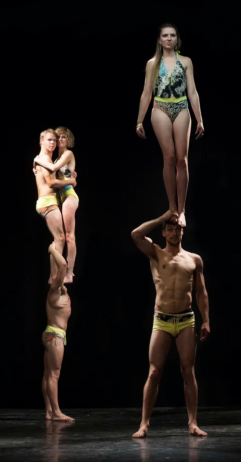 Musical Acrobats