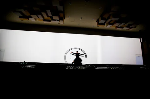 3D BOLLAS MAPPING SHOW