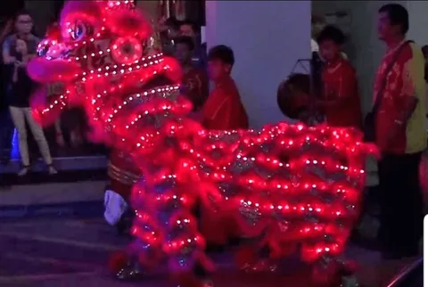 LED LION DANCE