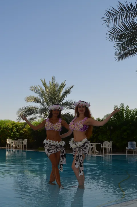 Hawaiian Dancers
