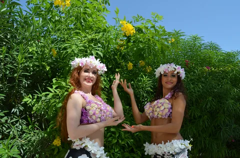 Hawaiian Dancers