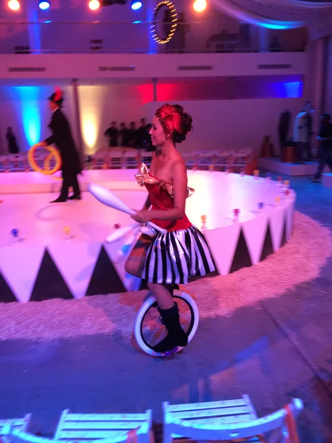 Circus Juggler