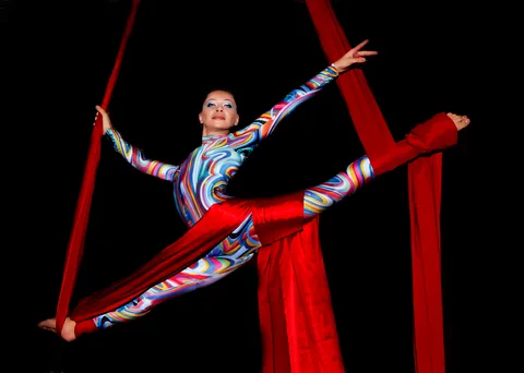 AERIAL SILK