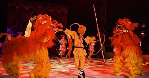 Chinese Circus