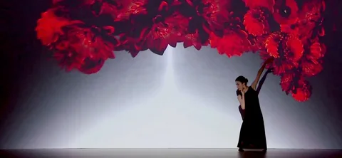 Diabolo Mapping Show