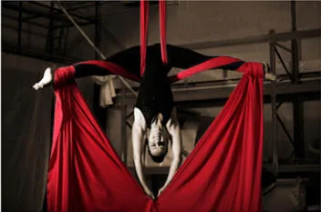 AERIAL SILK