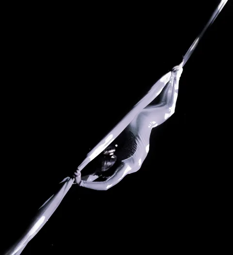 AERIAL SILK