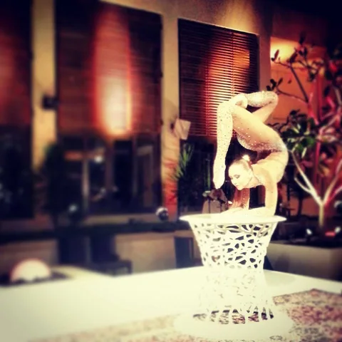 Contortionist