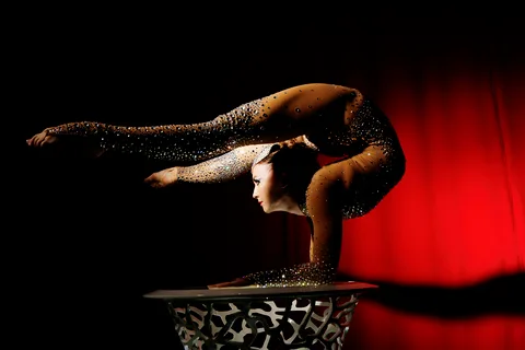 Contortionist