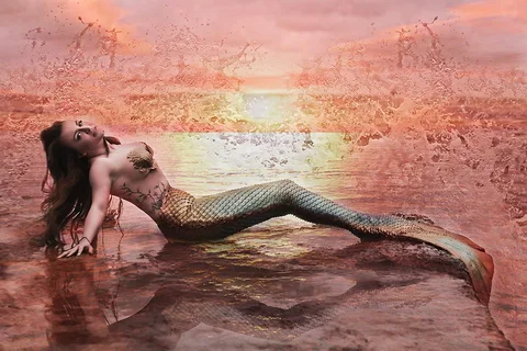 Mermaid Performer