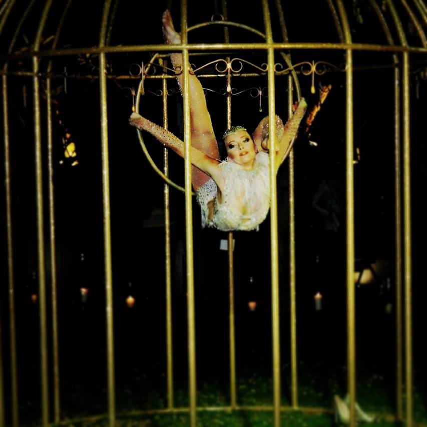 Birdcage