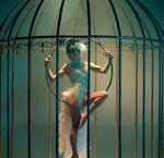 Birdcage