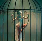 Birdcage