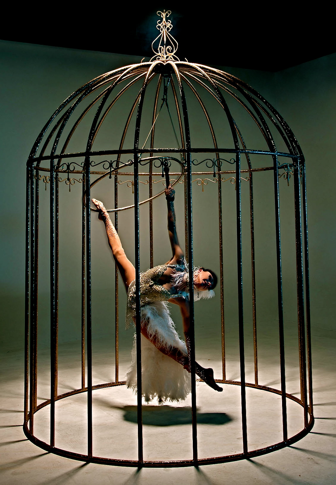 Birdcage