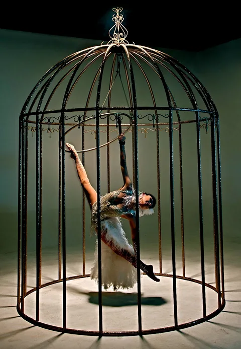 Birdcage