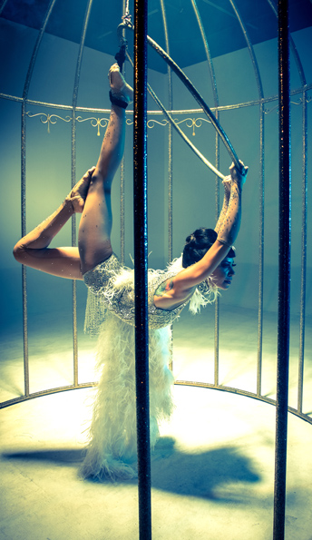 Birdcage
