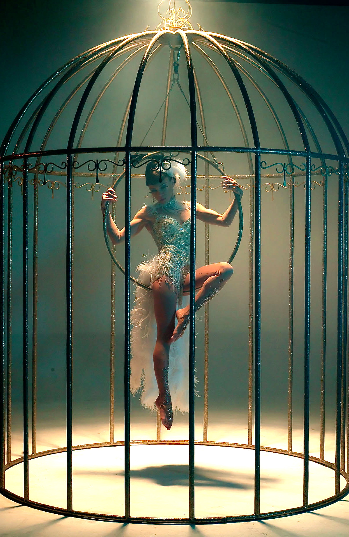 Birdcage